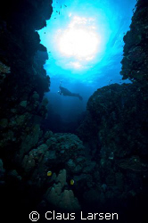 Diver in siluett by Claus Larsen 